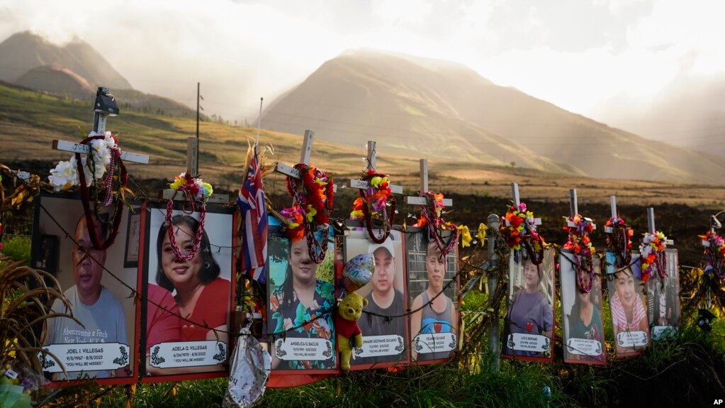 2023 Maui Hawaii Wildfires